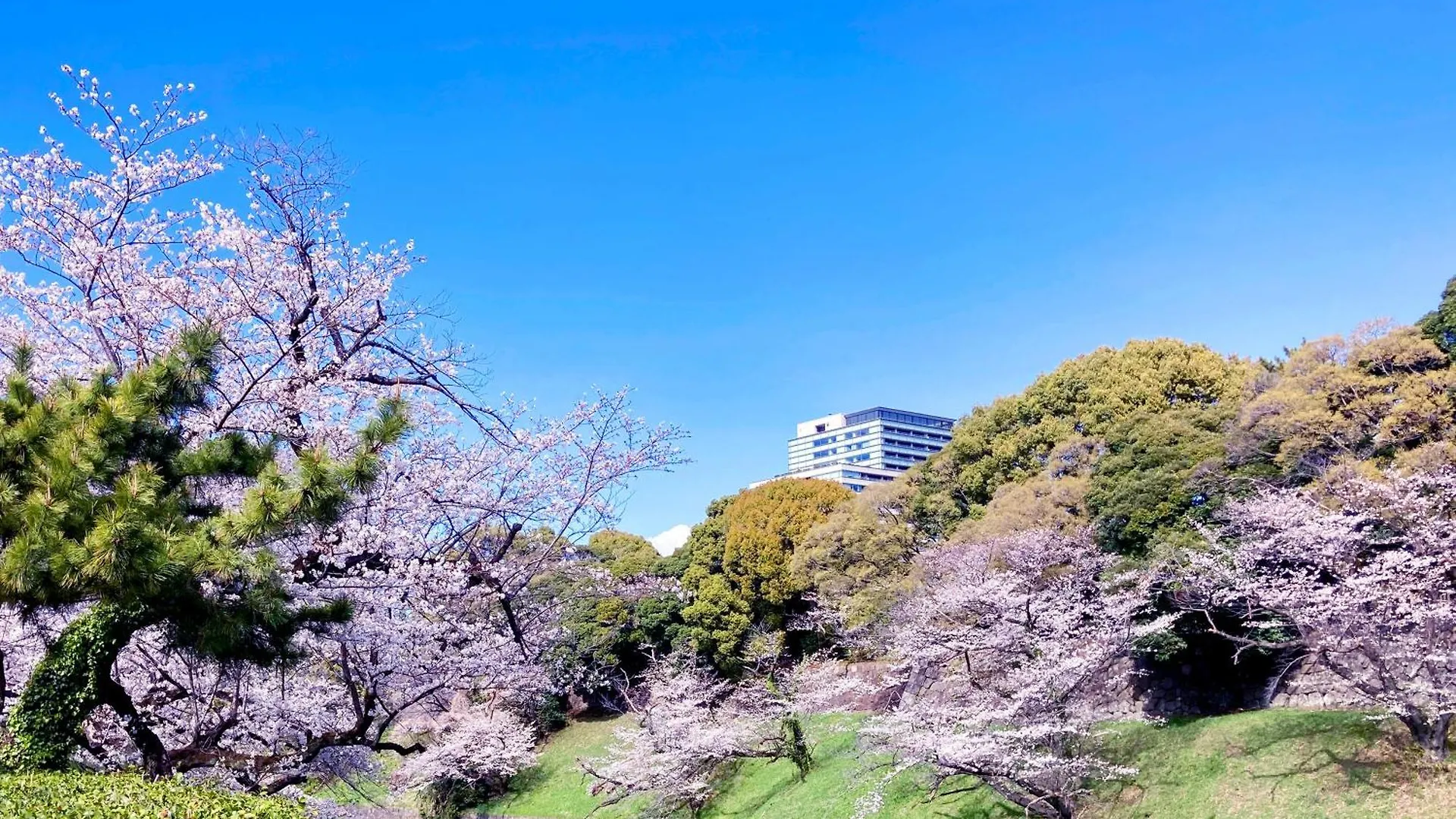 Apa Hotel Nagatacho Hanzomon Ekimae Tokyo Japan